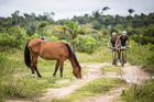 Um cavalo no caminho (Fabio Piva / Brasil Ride)